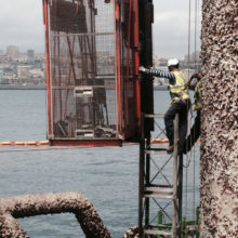 estructura-soporte-6